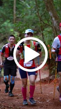 BIB:  <button type="button" onclick="openModal(27516837)" class="btn btn-primary btn-sm float-right" data-toggle="modal" data-target=".modal-high-quality">
                <i class="fa fa-download"></i> Download
                </button>